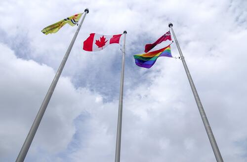 The Pride flag along with the University flag, Canadian flag and Ontario flag.