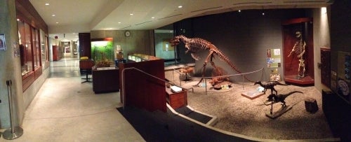 A panorama of the Earth Sciences Museum in CEIT.
