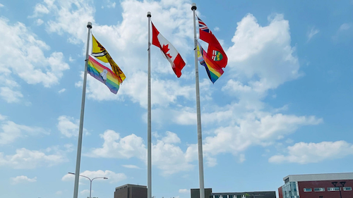 Pride flags on the flagpoles at the University of Waterloo.