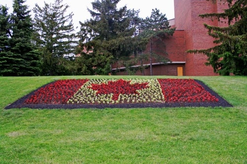 A flower garden planted to look like the Canadian flag.