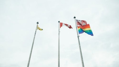 The rainbow pride flag flying alongside the University flag, the Ontario flag, and the Canadian flag at the University's south campus entrance.