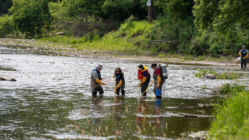 A team of researchers fishing in the Grand River with Mark Servos.