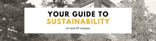 Your Guide To Sustainability Graphic.