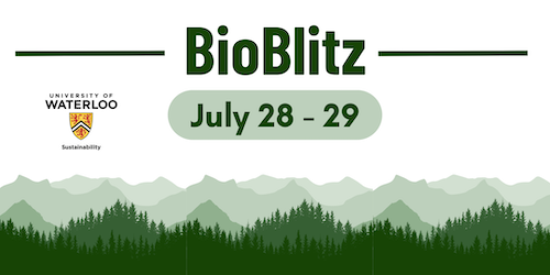 Bio Blitz banner showing a forest environment.