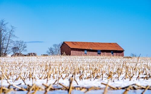 A derelict barn and a snow-covered farmer's field.