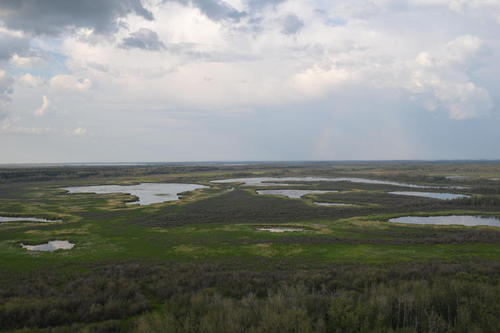 The Peace-Athabasca Delta.