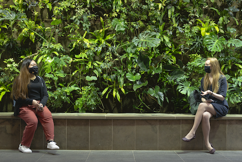 Two masked students practice physical distancing while sitting at the Living Wall.