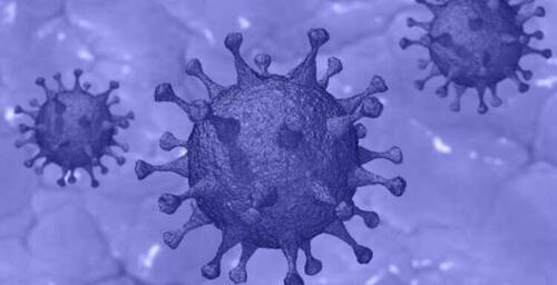 An illustration of the COVID virus.