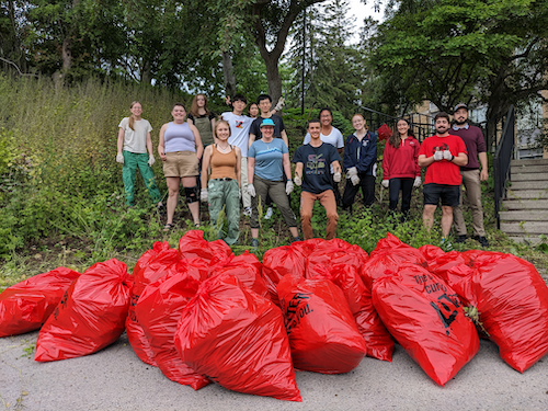 Volunteers stand with several overstuffed garbage bags containing pulled garlic mustard.