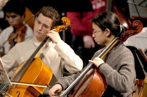 Cello players in the orchestra.