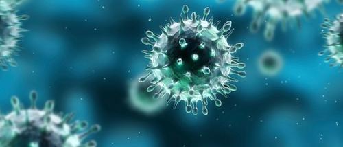 An artist's rendering of disease-carrying viruses.