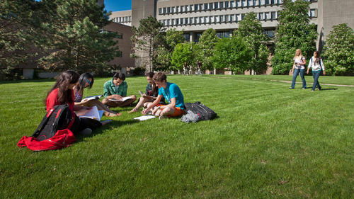 Students sitting on the grass, studying.