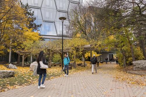 Students walk on a campus path in autumn.