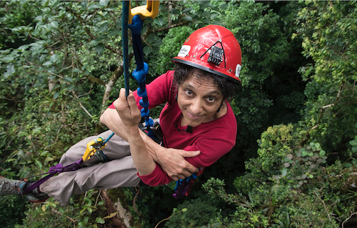 Nalini Nadkarni hangs from a harness in the rainforest.