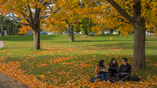 Students sit beneath a tree on campus in an autumn setting with leaves on the ground.