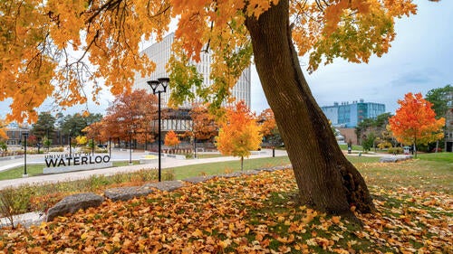 The University campus in autumn.