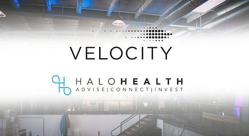 The Velocity and Halo Health logos.