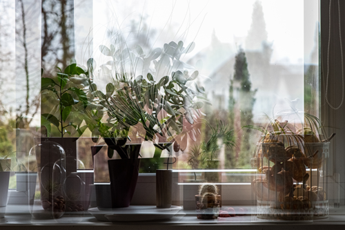 A distorted image of a picture window and potted plants that illustrates concussion-related visual problems.