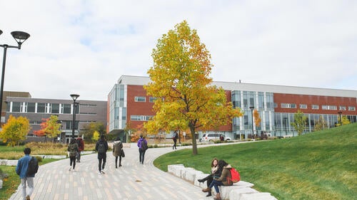 Students walk on paths near the Tatham Centre on the Waterloo campus.