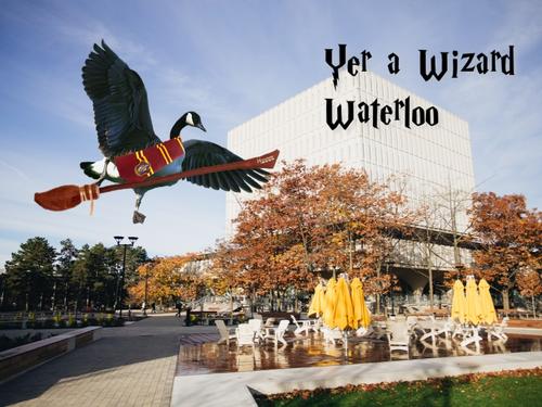 &quot;Yer a Wizard Waterloo&quot; featuring a goose wearing Harry Potter garb flying in front of the Dana Porter Library.