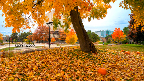 The University of Waterloo main campus in a fall setting.