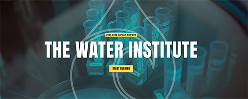 Water Institute banner image.