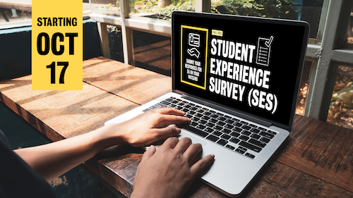 A person types on a laptop with the Student Experience Survey on its screen.