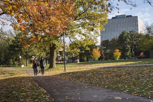 Two students walk along a pathway in the fall.