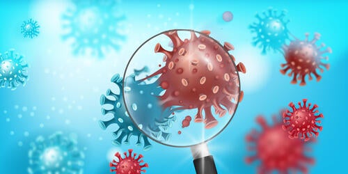 An illustration of a virus under a magnifying glass.