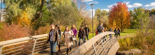 Students touring campus walk over the Laurel Creek bridge.