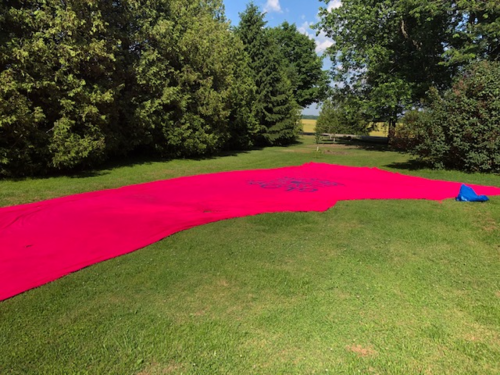 The Pink Tie laid out on some grass.