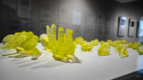 Part of the Trinity Then and Now exhibit - green casts of human hands atop a table.