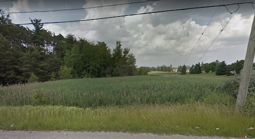 A Google Earth image showing the view of the wetlands from Fischer-Hallman Road.