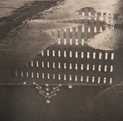 The Dana Porter library, complete with Christmas tree on top, reflected in a puddle in this 1972 photo.