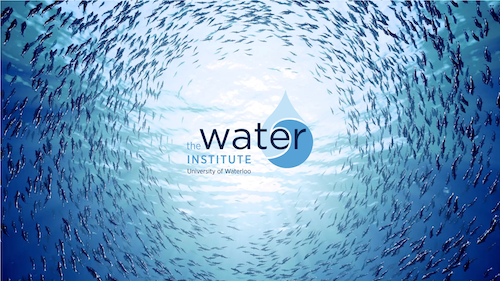 Water Institute logo surrounded by a school of fish swimming in a column.