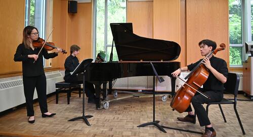 A trio of musicians - violinist, pianist, and cellist.