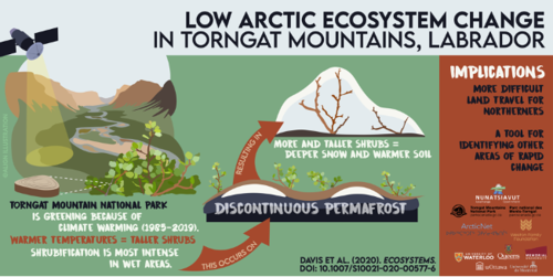 An illudstration of the impact of low arctic ecosystem change.