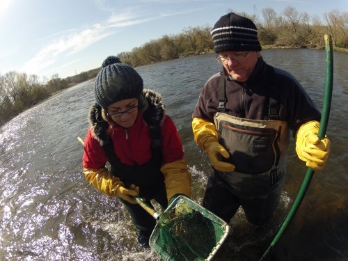 Professor Mark Servos and researcher fishing with nets in a river.