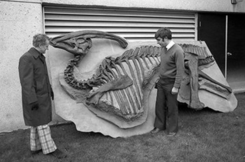 Frank Brookfield and Peter Russell with a fossil of Parasaurolophus in 1979.