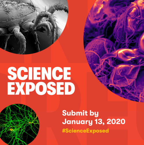 Science Exposed competition banner image showing pictures of projects.