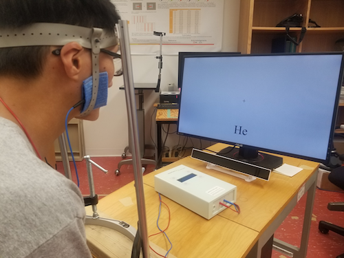 A person undergoes brain stimulation while looking at a computer screen.