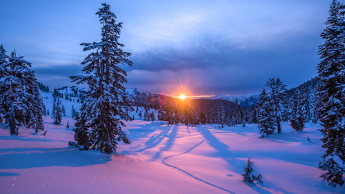The sun rises (or sets) over a winter landscape with snow on trees and on the ground.