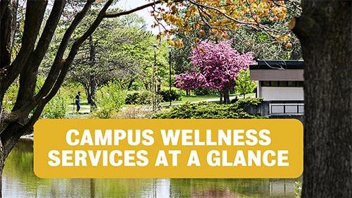 Campus Wellness services at a glance poster