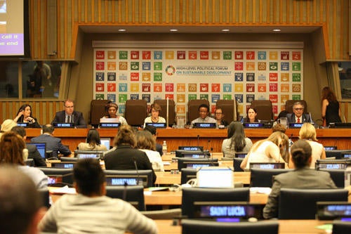 Picture of UN Forum on Sustainable Development