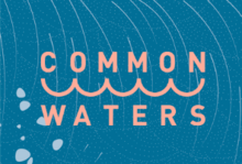 Common Waters logo, with a line of waves separating the words &quot;Common&quot; and &quot;waters&quot;