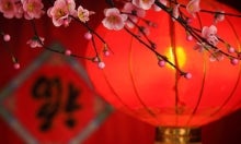 Chinese paper lanterns.