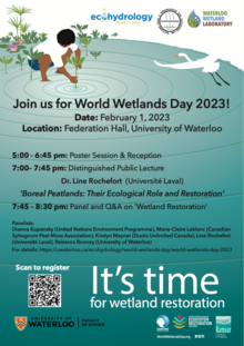 World Wetlands Day event poster.