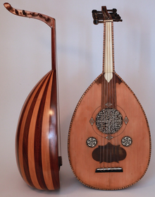 A side and front view of an oud, a Middle Eastern stringed instrument.