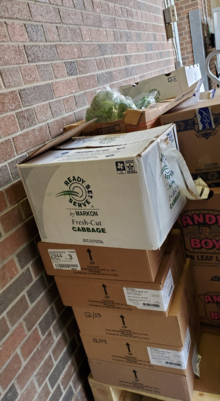 Boxes of vegetables stacked and ready for donation.