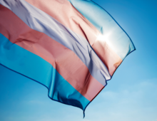 The tri-colour trans flag.